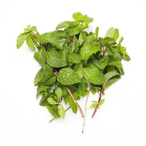 Mint 75g UAE